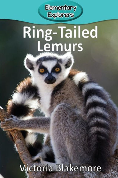 Ring-Tailed Lemurs - 9781948388047