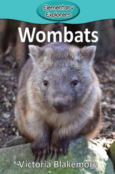 Wombats - 9781948388160