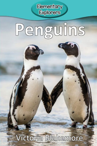 Penguins - 9781948388344