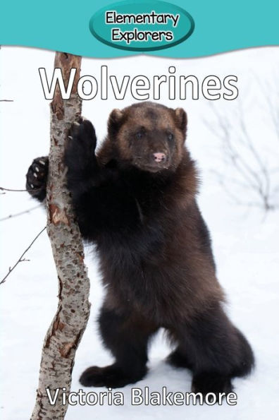 Wolverines - 9781948388382