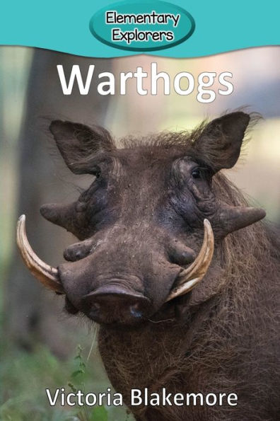 Warthogs - 9781948388405