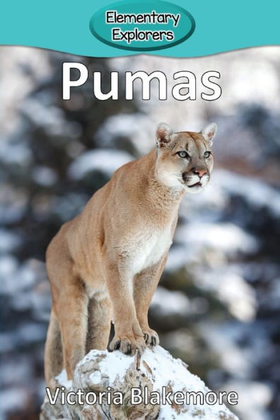 Pumas - 9781948388542