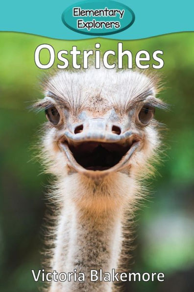 Ostriches - 9781948388627