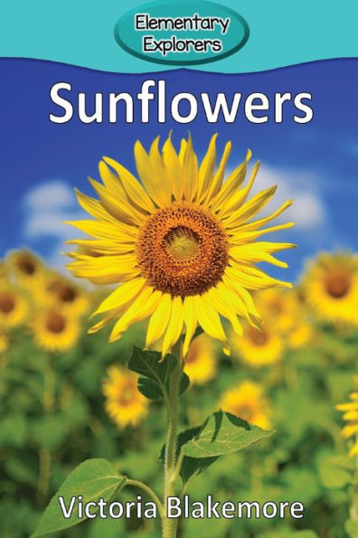 Sunflowers - 9781948388641