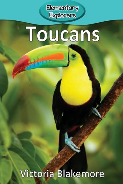 Toucans - 9781948388849
