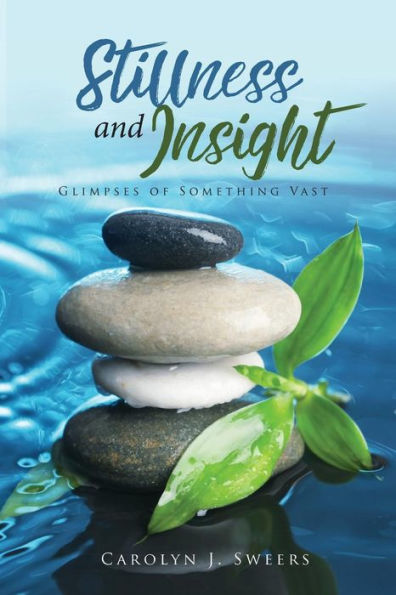 Stillness And Insight : Glimpses Of Something Vast
