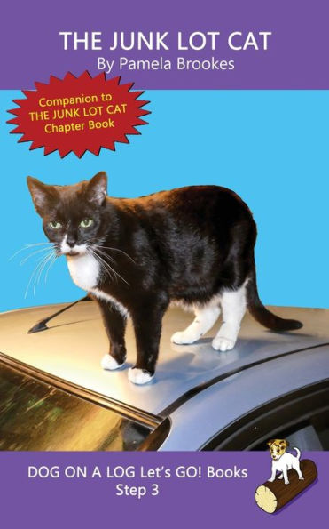 The Junk Lot Cat : Decodable Books For Phonics Readers And Dyslexia/Dyslexic Learners