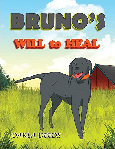 Bruno's Will To Heal - 9781949735086