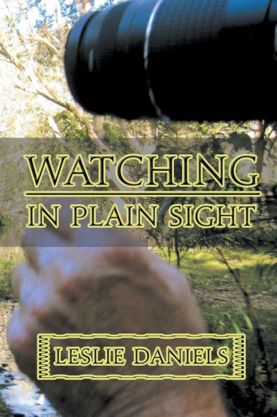 Watching In Plain Sight
