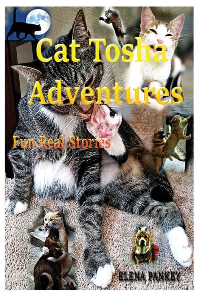 Las aventuras de Cat Tosha: Historias reales y divertidas
