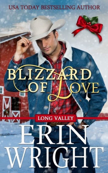 Blizzard of Love: Un romance occidental navideño (Cowboys of Long Valley Romance)