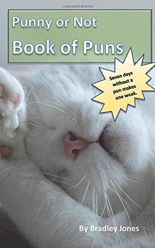 Punny Or Not Book of Puns