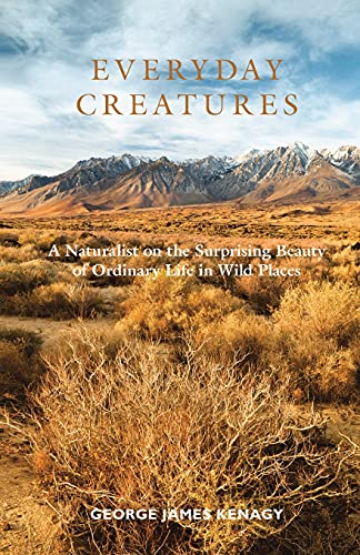 Everyday Creatures: A Naturalist On The Surprising Beauty Of Ordinary Life In Wild Places