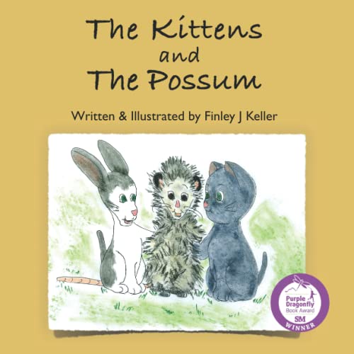 The Kittens And The Possum