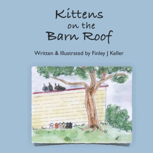 Kittens on The Barn Roof (The Keller Farms Kritters)