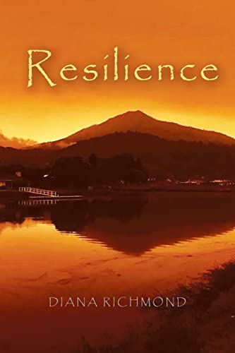 Resilience - 9781957378909