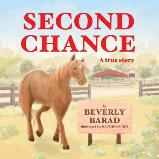 Second Chance - 9781958753057