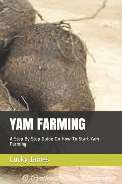 Yam Farming : A Step By Step Guide On How To Start Yam Farming