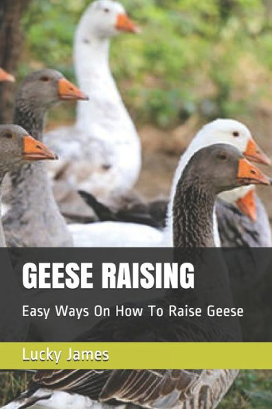 GEESE RAISING: Easy Ways On How To Raise Geese