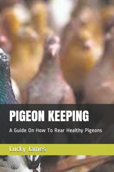 Pigeon Keeping : A Guide On How To Rear Healthy Pigeons