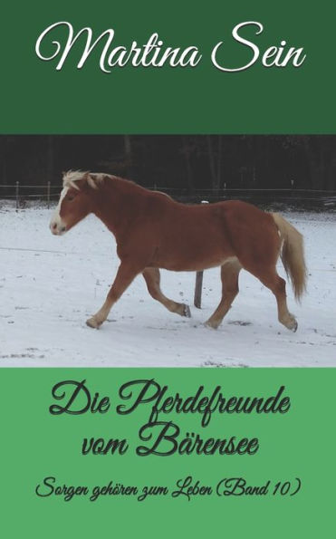 Die Pferdefreunde vom B?rensee: Sorgen geh?ren zum Leben (German Edition)