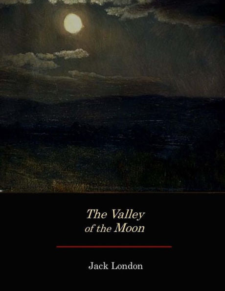 The Valley Of The Moon - 9781973703105