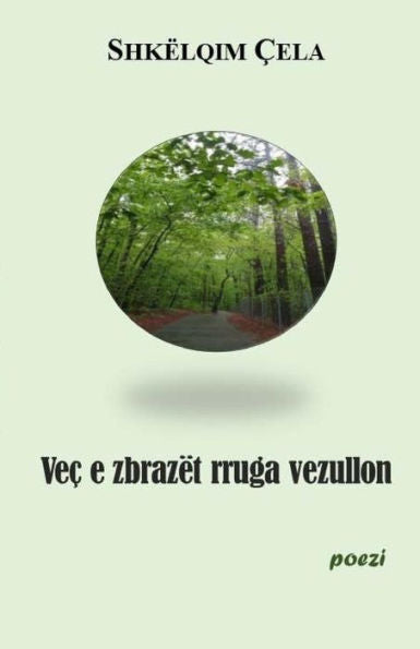 Vec E Zbrazet Rruga Vezullon : Permbledhje Me Poezi