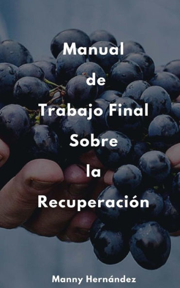 Manual De Trabajo Final : Sobre La Recuperaci?n