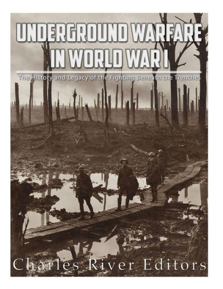 Underground Warfare In World War I : The History And Legacy Of The Fighting Beneath And Between The Trenches