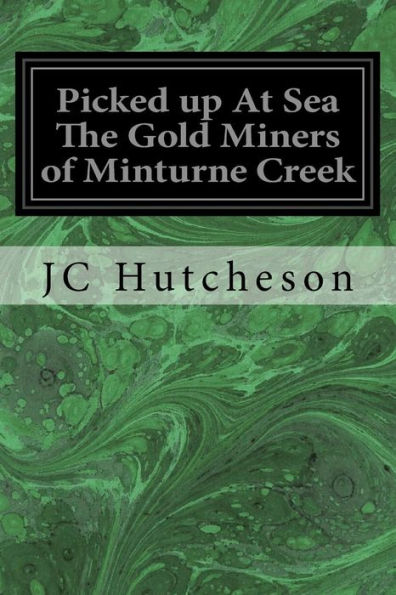 Picked Up At Sea The Gold Miners Of Minturne Creek