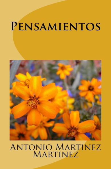 Pensamientos - 9781973987864