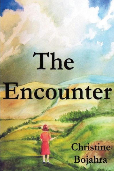 The Encounter - 9781974030439