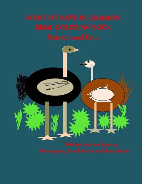 Ostrich And Emu : What We Have In Common Brim Book - 9781974093069