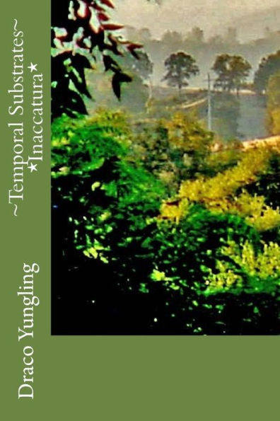 ~Temporal Substrates~ *Inaccatura* (Temporal Substraits)