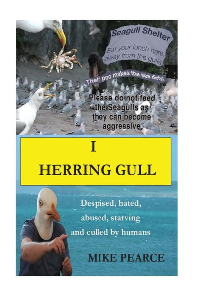 I Herring Gull: Despised, hated, abused,starving and culled by humans