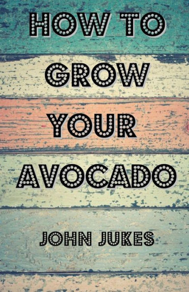 How To Grow Your Avocado
