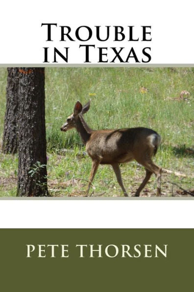 Trouble In Texas