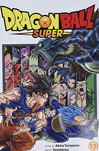 Dragon Ball Super, Vol. 13 (13)