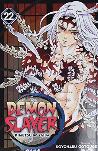 Demon Slayer: Kimetsu No Yaiba, Vol. 22 (22)