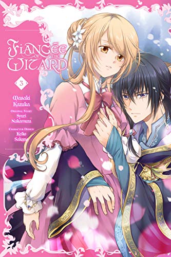 Fianc?ú??E Of The Wizard, Vol. 3 (Fianc?E Of The Wizard, 3)
