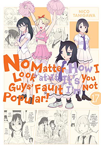 No Matter How I Look At It, It's You Guys' Fault I'M Not Popular!, Vol. 17 (No Matter How I Look At It, It's You Guys' Fault I'M Not Popular!, 17)