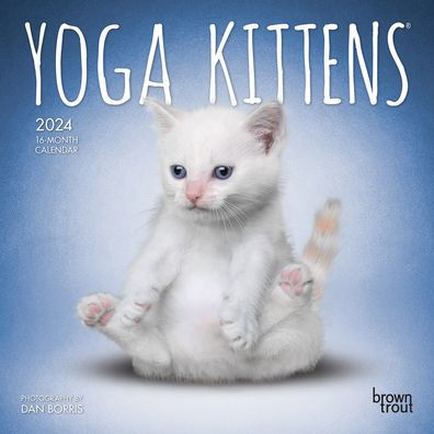 Yoga Kittens Official | 2024 7 X 14 Inch Monthly Mini Wall Calendar | Browntrout | Animals Humor Cats Feline