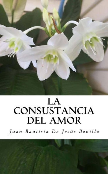 La consustancia del amor (Spanish Edition)