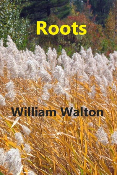 Roots - 9781975797706