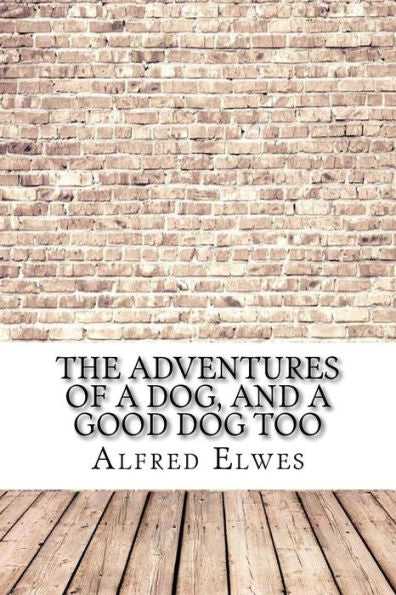 The Adventures Of A Dog, And A Good Dog Too - 9781975878849