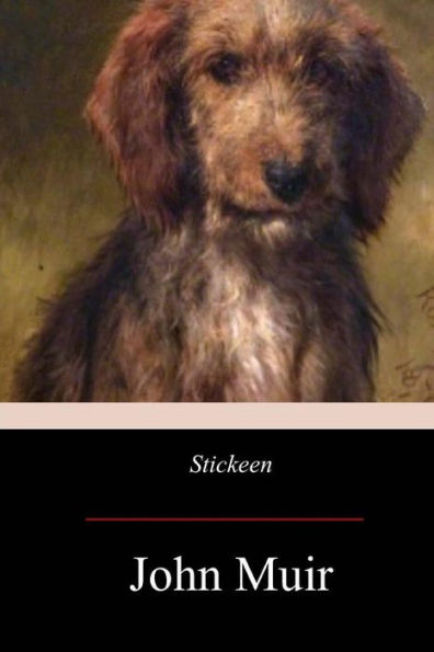 Stickeen - 9781975884635