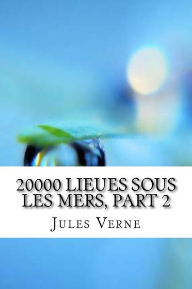 20000 Lieues sous les mers, part 2 (French Edition)