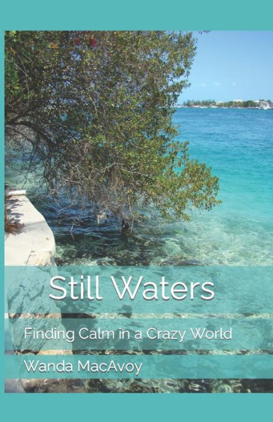 Still Waters - 9781975994891