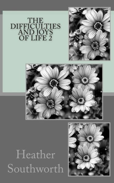 The Difficulties And Joys Of Life 2