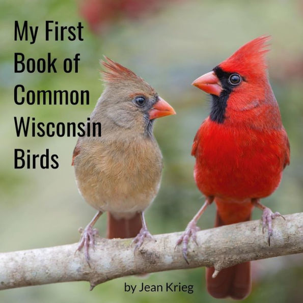 My First Book Of Common Wisconsin Birds